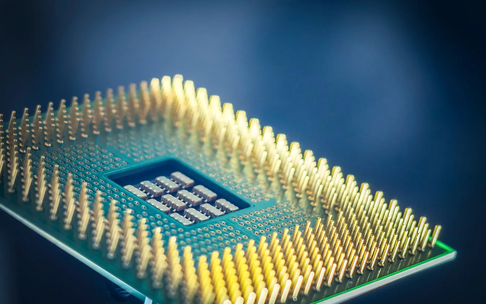 Close-up of a computer processor with gold pins against a deep-blue background.